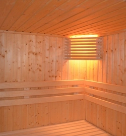 sauna_ana